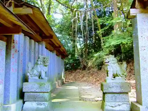 素鵞熊野神社の狛犬