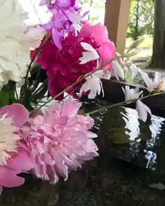 高司神社〜むすびの神の鎮まる社〜(福島県)(2022年06月08日(水) 15時00分08秒投稿)