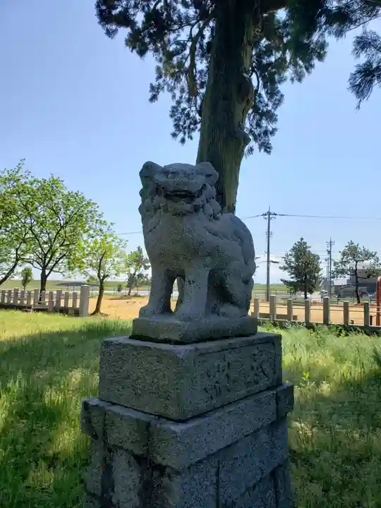 吉住熊野神社の狛犬