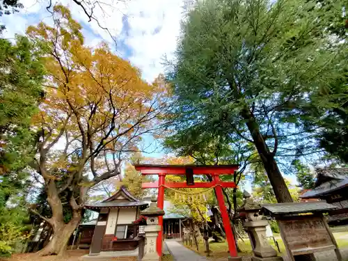 蠶養國神社の鳥居