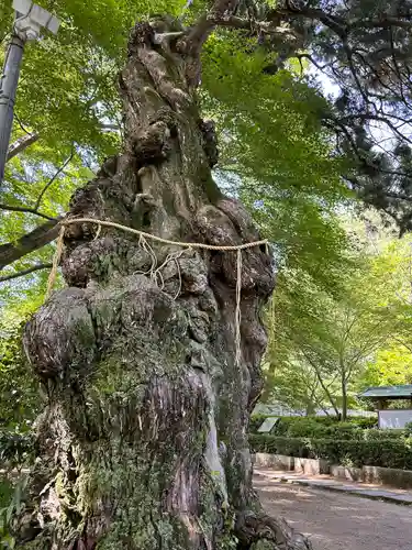 白峯寺(香川県)