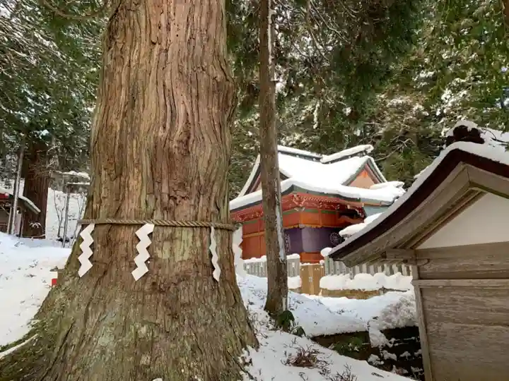 志和稲荷神社の自然
