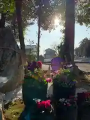 彌都加伎神社の建物その他