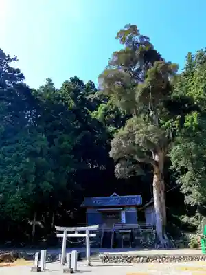諏訪神社の鳥居