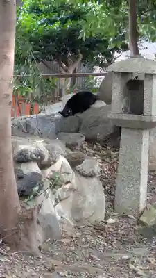 花山稲荷神社(京都府)