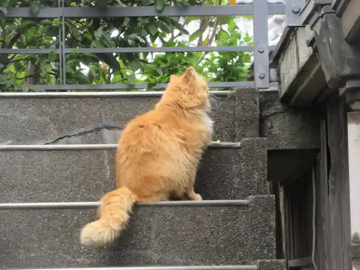 妙行寺(東京都)