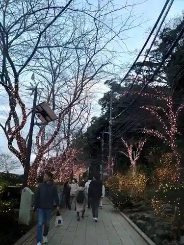 江島神社の庭園