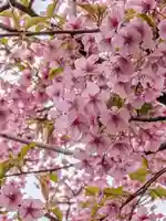 源空寺(東京都)