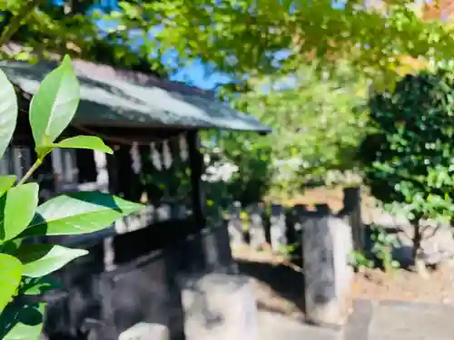 尾陽神社(愛知県)