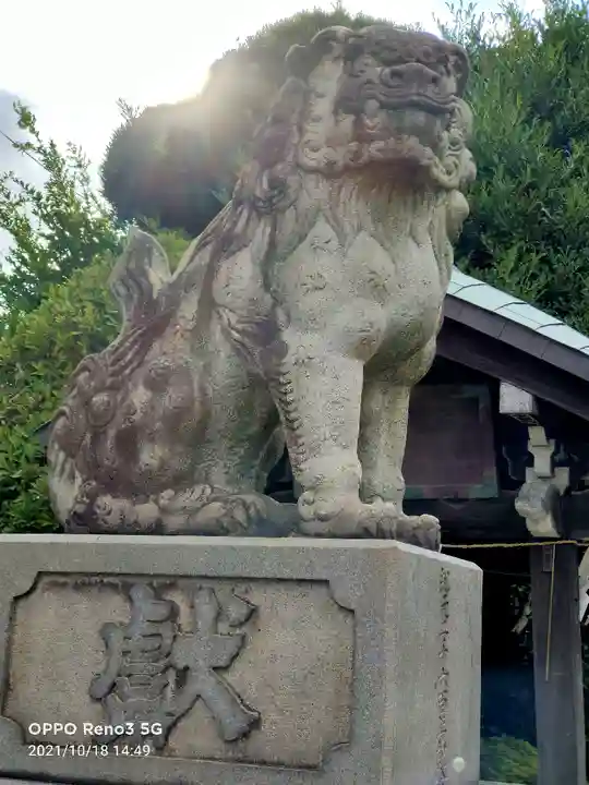 玉姫稲荷神社の狛犬