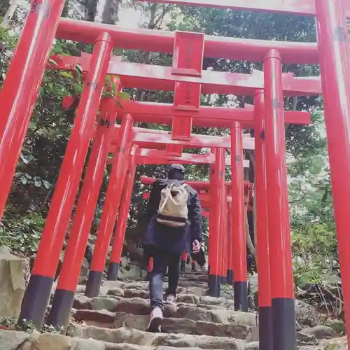 白笹稲荷神社の鳥居