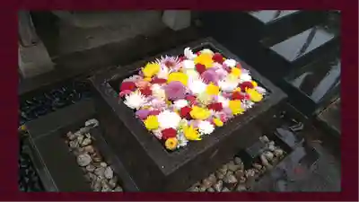 観音寺(東京都)