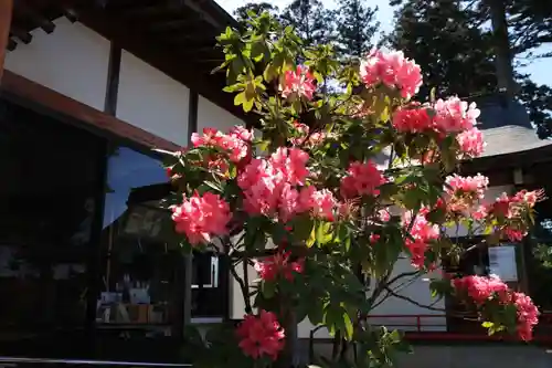 多田野本神社の庭園