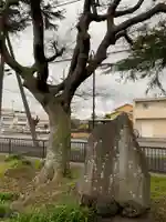 金刀比羅大神の自然