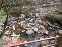 花園神社の自然