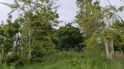 湊神社跡の自然