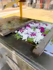 根岸八幡神社の手水