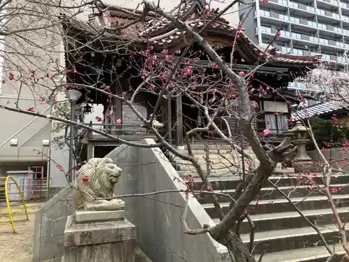 白鬚神社(石川県)