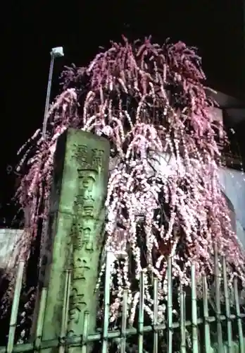 成願寺(東京都)