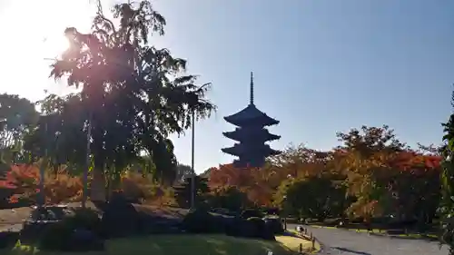 東寺（教王護国寺）の庭園