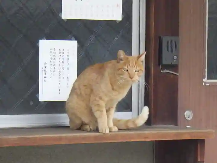 野里住吉神社の動物