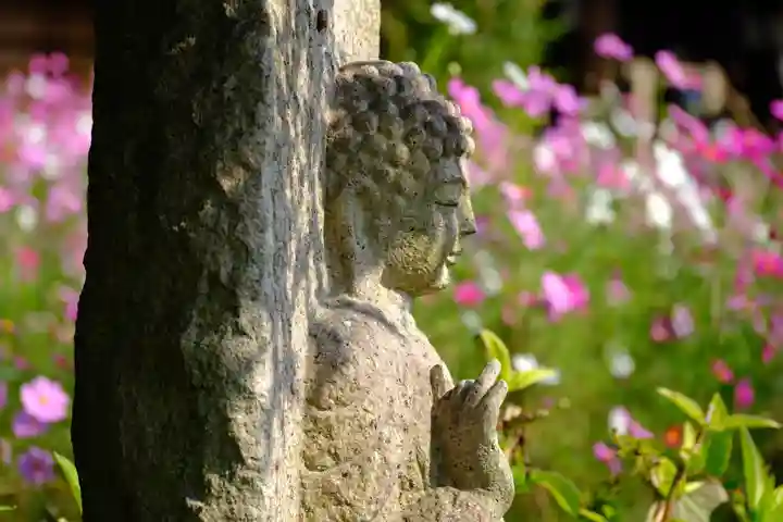 般若寺 ❁コスモス寺❁(奈良県)
