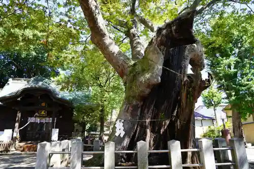 阿邪訶根神社の庭園