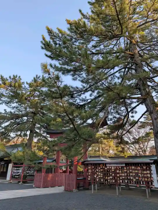 氣比神宮の{uncategorized: "未分類", other: "その他", undefined: "問題あり", building: "その他建物", grave: "お墓", sacred_gate: "鳥居", guardian: "狛犬", statue: "像", buddha: "仏像", history: "歴史", nature: "自然", garden: "庭園", animal: "動物", pagoda: "塔", temizu: "手水舎", mountain_gate: "山門・神門", sanctuary: "本殿・本堂", subordinate: "末社・摂社", art: "芸術", scenery: "景色", jizo: "地蔵", ema: "絵馬", goshuin: "御朱印", omikuji: "おみくじ", items: "授与品その他", amulet: "お守り", goshuincho: "御朱印帳", eats: "食事", festival: "お祭り", votive_dance: "神楽", shichigosan: "七五三参", wedding: "結婚式", experience: "体験その他", initially: "初詣", around: "周辺", anti_infection: "感染症対策"}