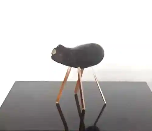 西方山極楽寺(岐阜県)