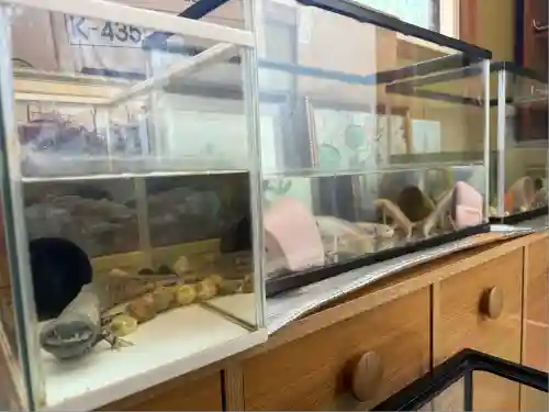 大聖寺(新潟県)