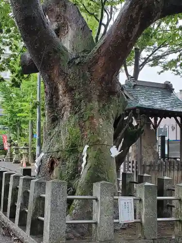 阿邪訶根神社の自然