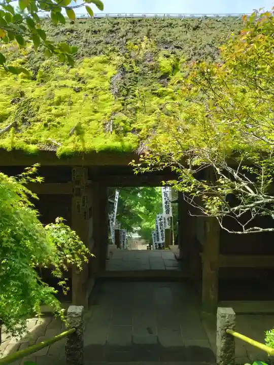 杉本寺(神奈川県)