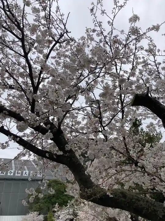 光明寺(神奈川県)