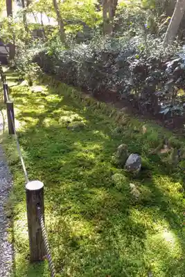 地蔵院(京都府)