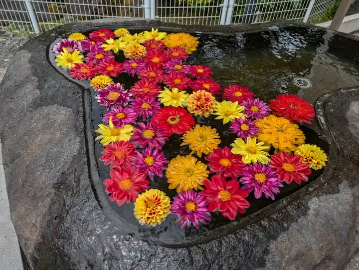諏訪神社(山形県)