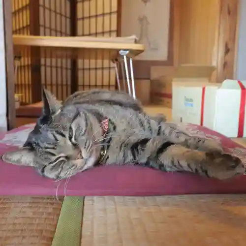 前玉神社の動物