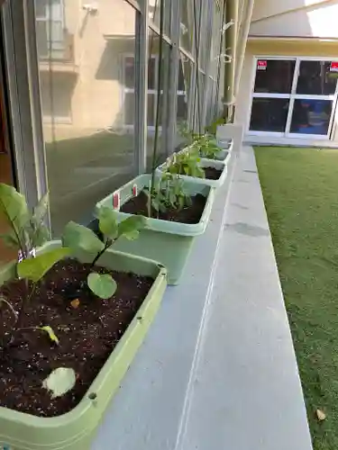 根岸八幡神社(神奈川県)