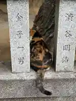 柏諏訪神社の動物