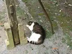 雀神社の動物