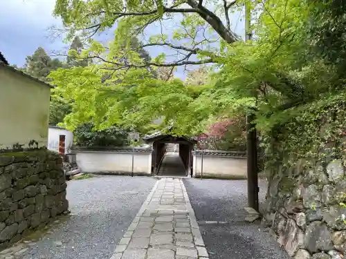 龍吟庵（竜吟庵）の{uncategorized: "未分類", other: "その他", undefined: "問題あり", building: "その他建物", grave: "お墓", sacred_gate: "鳥居", guardian: "狛犬", statue: "像", buddha: "仏像", history: "歴史", nature: "自然", garden: "庭園", animal: "動物", pagoda: "塔", temizu: "手水舎", mountain_gate: "山門・神門", sanctuary: "本殿・本堂", subordinate: "末社・摂社", art: "芸術", scenery: "景色", jizo: "地蔵", ema: "絵馬", goshuin: "御朱印", omikuji: "おみくじ", items: "授与品その他", amulet: "お守り", goshuincho: "御朱印帳", eats: "食事", festival: "お祭り", votive_dance: "神楽", shichigosan: "七五三参", wedding: "結婚式", experience: "体験その他", initially: "初詣", around: "周辺", anti_infection: "感染症対策"}