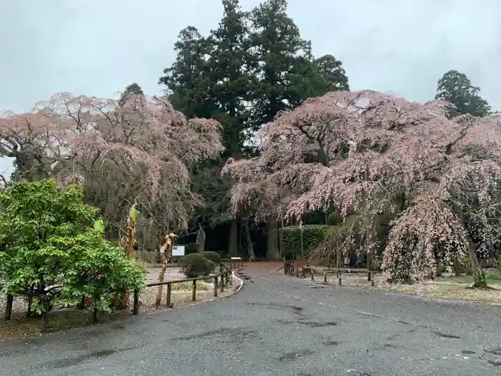 長光寺(千葉県)
