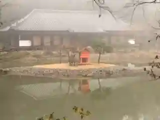 浄瑠璃寺の庭園