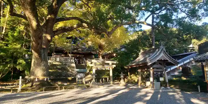 事任八幡宮のその他建物