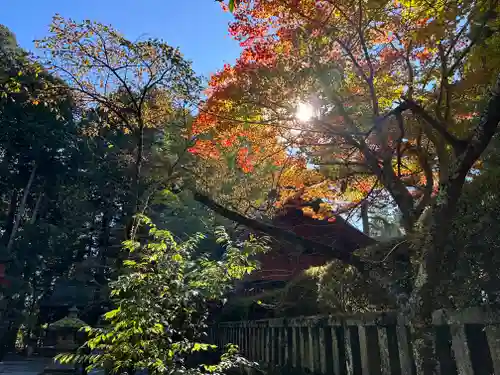 北口本宮冨士浅間神社(山梨県)