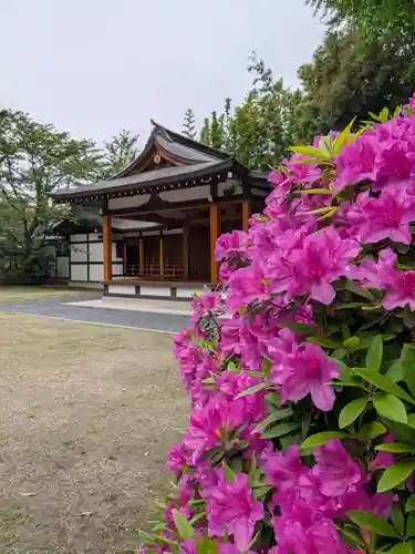 阿佐ヶ谷神明宮(東京都)