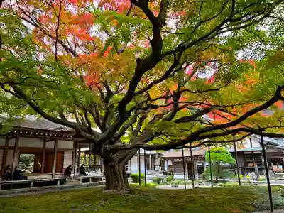 千如寺大悲王院(福岡県)