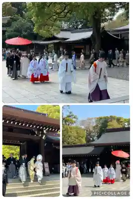 明治神宮(東京都)