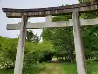 小杜神社(多坐彌志理都比古神社摂社)の鳥居