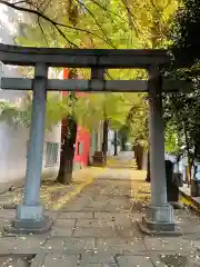 氷川神社の鳥居