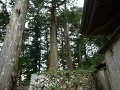 玉置神社(奈良県)